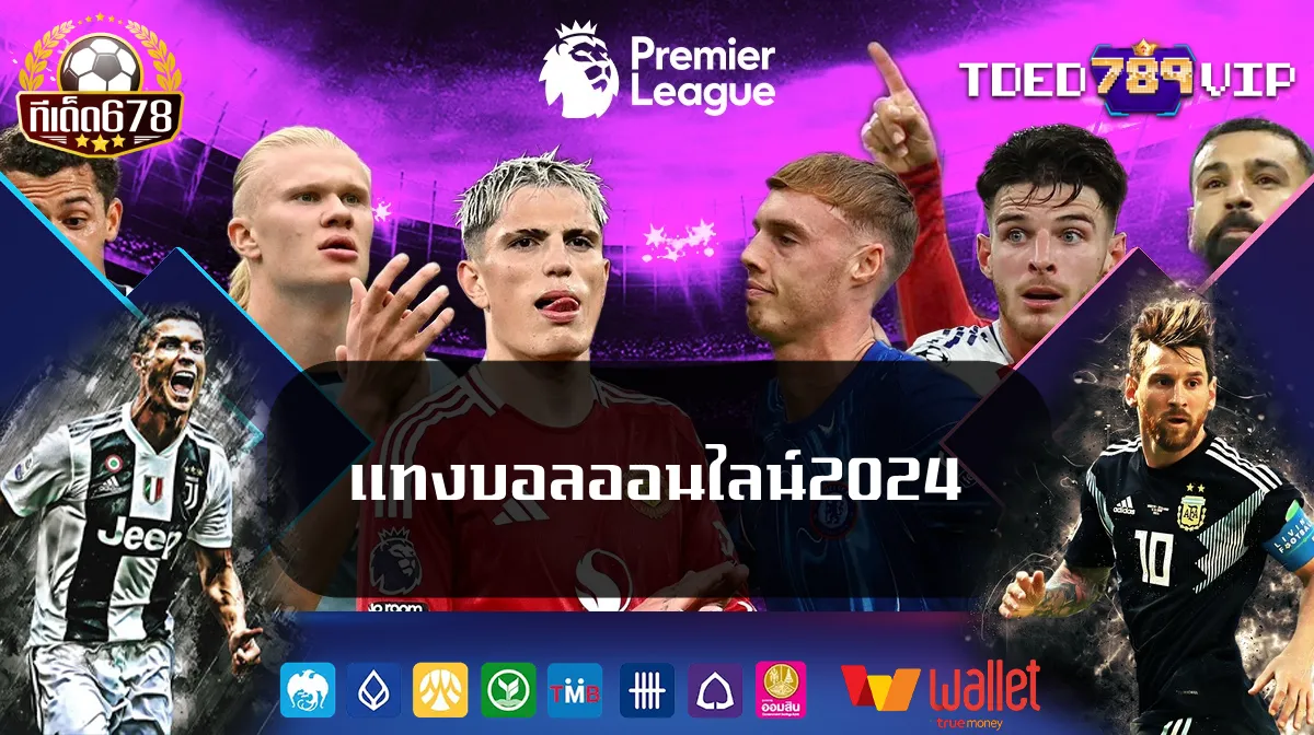 แทงบอลออนไลน์2024
